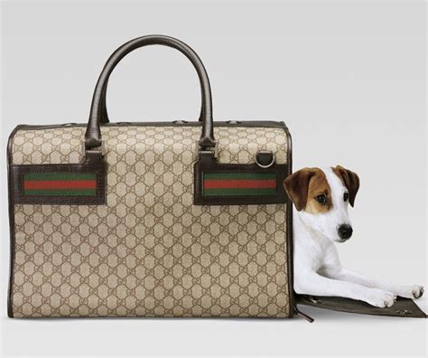 gucci dog tote|gucci dog collar backpack.